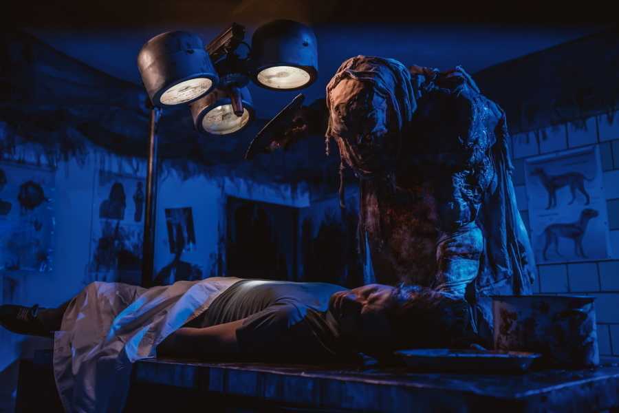 Квест в реальности Питомец от компании Quest Stars Квест в реальности Питомец от компании Quest Stars