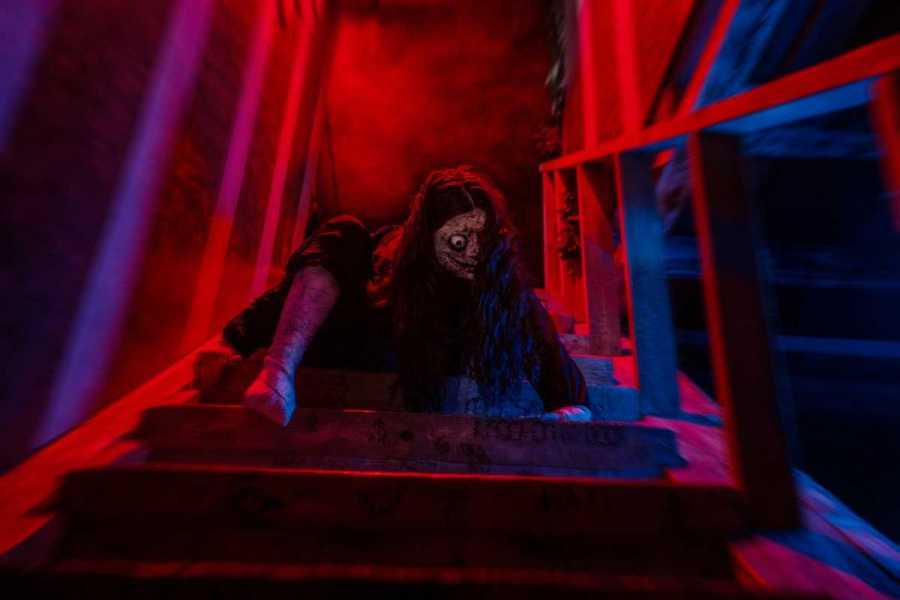 Квест в реальности Момо от компании Quest Stars Квест в реальности Момо от компании Quest Stars