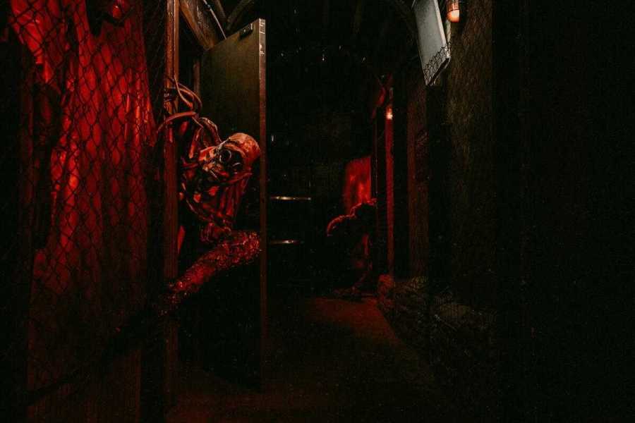 Квест в реальности Amnesia от компании Quest Stars Квест в реальности Amnesia от компании Quest Stars