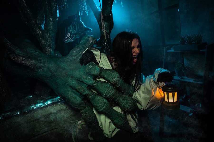 Квест в реальности Король шутов: сказки не лгут от компании Клаустрофобия Квест в реальности Король шутов: сказки не лгут от компании Клаустрофобия