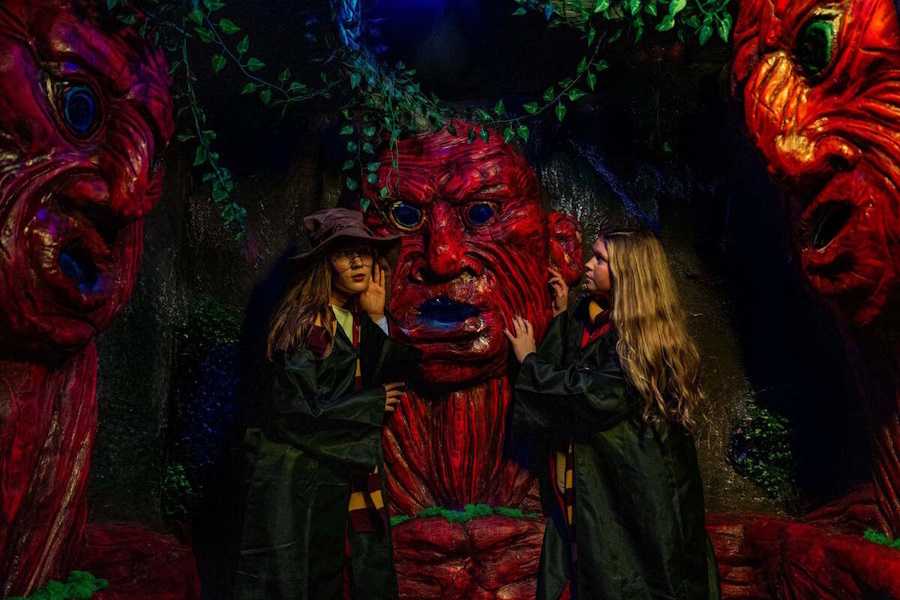 Квест в реальности Гарри: тайна запретного леса от компании Incubo Квест в реальности Гарри: тайна запретного леса от компании Incubo