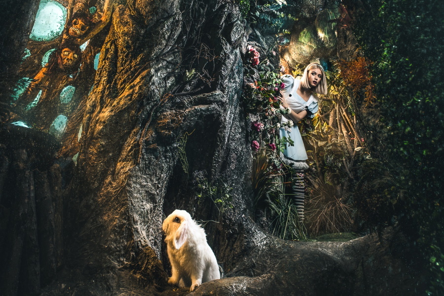 Квест в реальности Алиса в стране кошмаров от компании Клаустрофобия Квест в реальности Алиса в стране кошмаров от компании Клаустрофобия