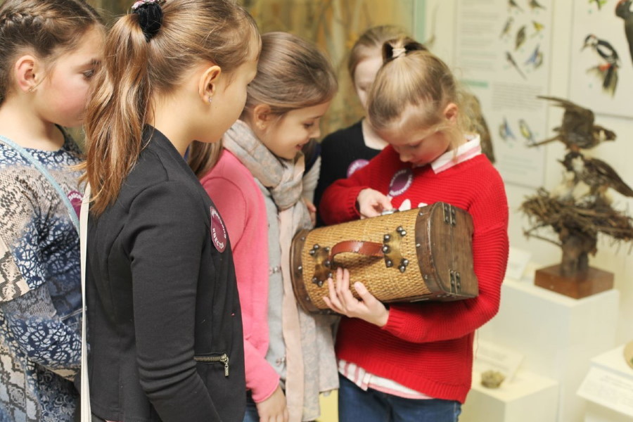 Квест в реальности Квест в Дарвиновском музее от компании Квест Lab Квест в реальности Квест в Дарвиновском музее от компании Квест Lab